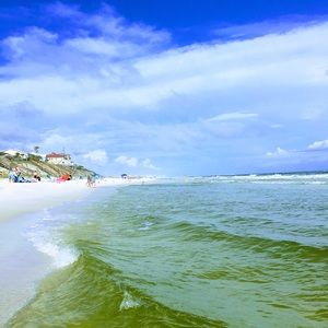 Meet your Posher, Riley